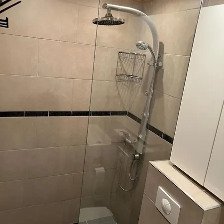 Cosy For 5 Near Lift, Les Gentianes