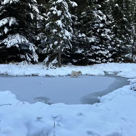 דירה Cosy For 5 Near Lift, Les Gentianes