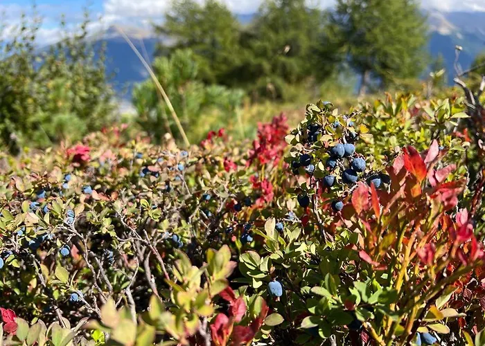 Cosy For 5 Near Lift, Les Gentianes 아파트