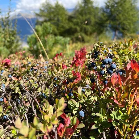 Cosy For 5 Near Lift, Les Gentianes Апартаменты