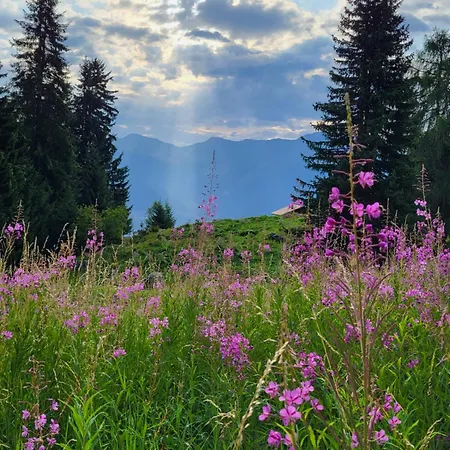 Cosy For 5 Near Lift, Les Gentianes *